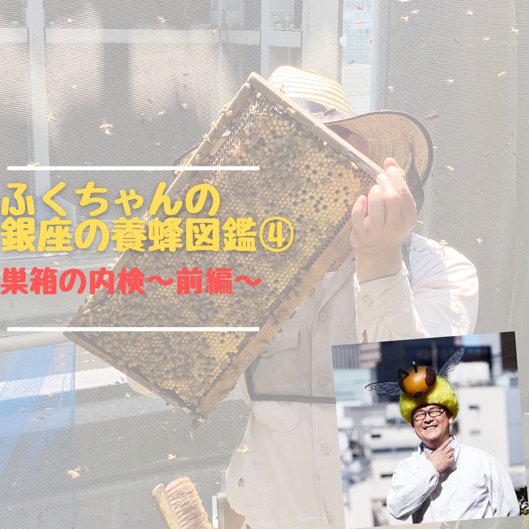 ふくちゃん様確認用 入れかえよ
